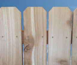 Cedar Bevel wood Siding